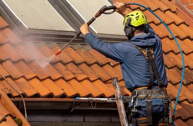 Démoussage et hydrofuge de toiture à Loudervielle